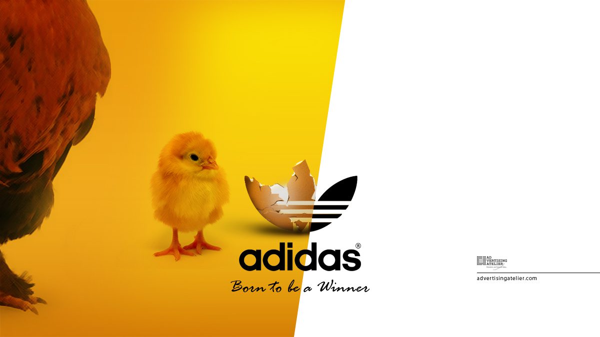 Adidas egg